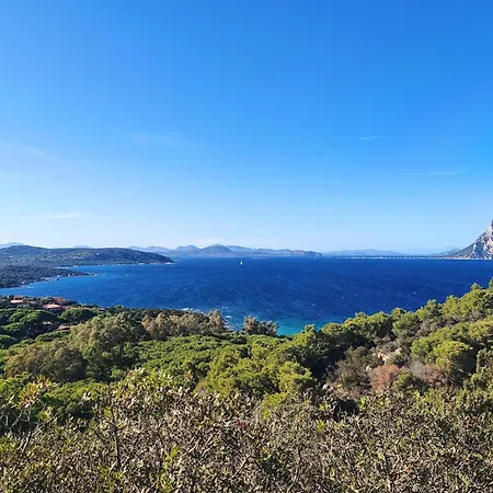 Near With A Sea-view Terrace Apartament Budoni